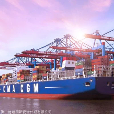 Services de fret maritime compétitifs de la Chine à Casablanca